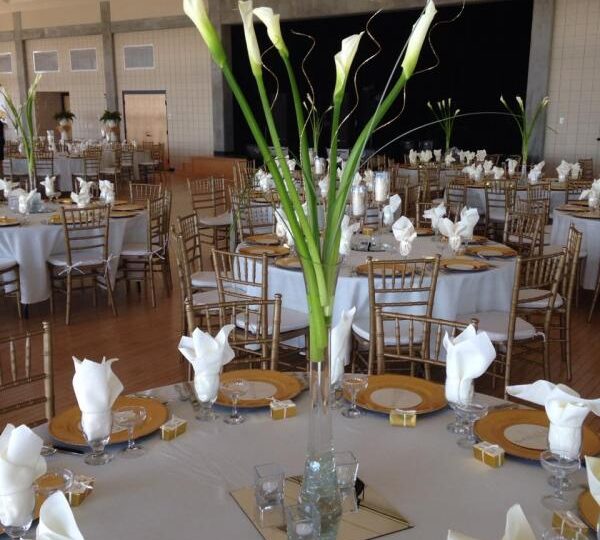 Chiavari Chairs set up at Sanders Beach Community Center.